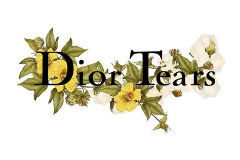 dior tears price|dior denim tears.